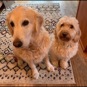 Meet your Posher, Christine